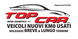 Logo Top Car Srl